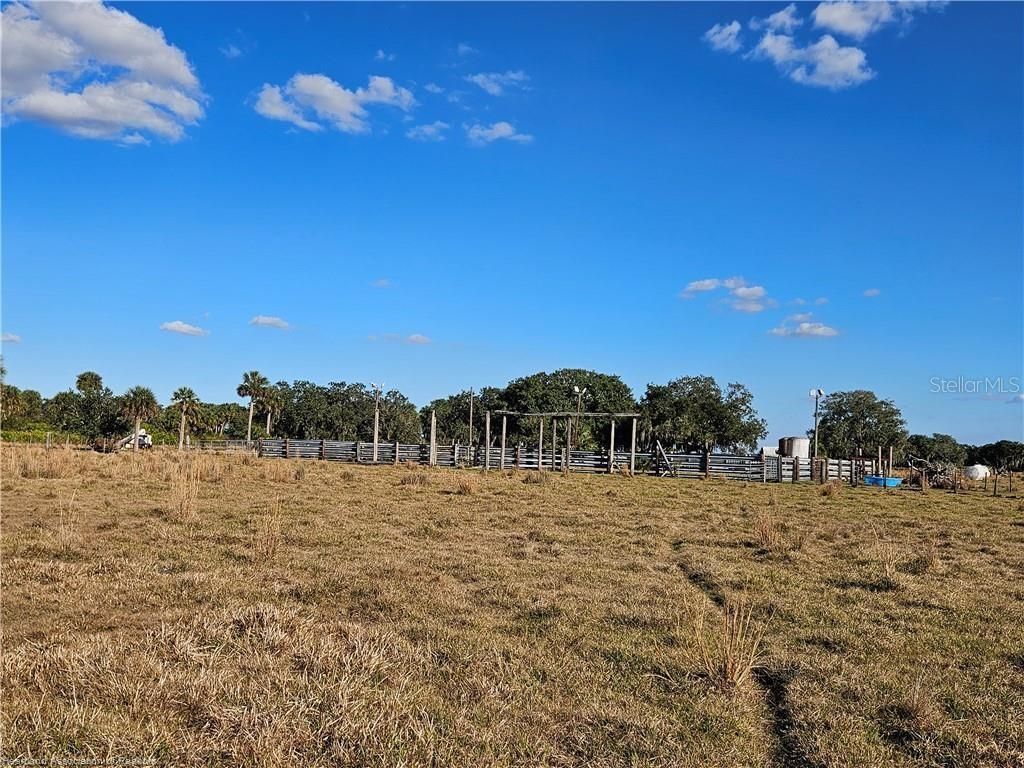 320 Grigsby Road , Venus, FL 33960 Photo