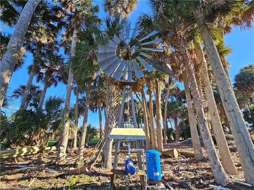 320 Grigsby Road , Venus, FL 33960 Photo