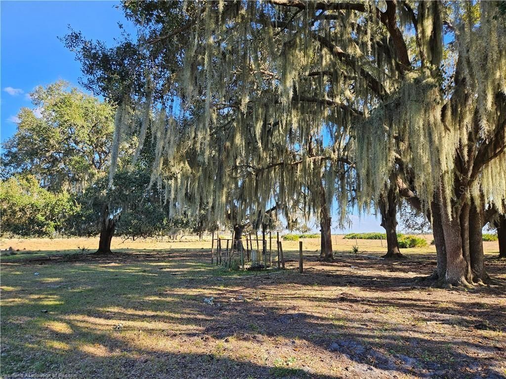 320 Grigsby Road , Venus, FL 33960 Photo
