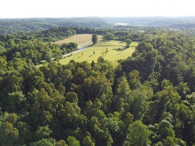 Pugh Road, Cadiz, OH 43907 Photo 2