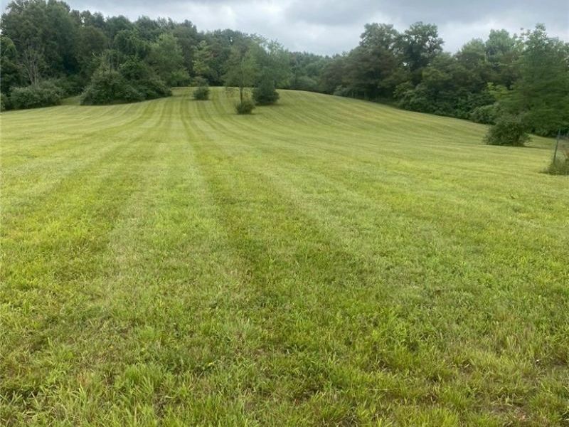 Pugh Road, Cadiz, OH 43907 Photo 3