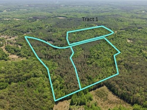 0 ED BARHAM TRACT 2 RD, Bethel Springs, TN 38315