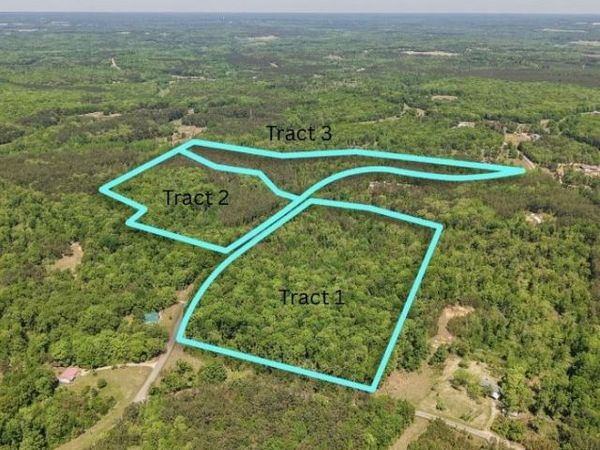 0 ED BARHAM TRACT 1 RD, Bethel Springs, TN 38315