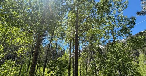961 Pomo Road, South Lake Tahoe, CA 96150 Photo