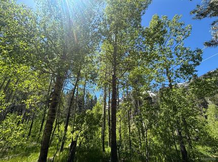 961 Pomo Road, South Lake Tahoe, CA 96150 Photo