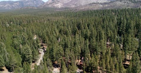 1594 Canienaga Street, South Lake Tahoe, CA 96150 Photo