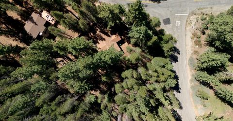 1594 Canienaga Street, South Lake Tahoe, CA 96150 Photo