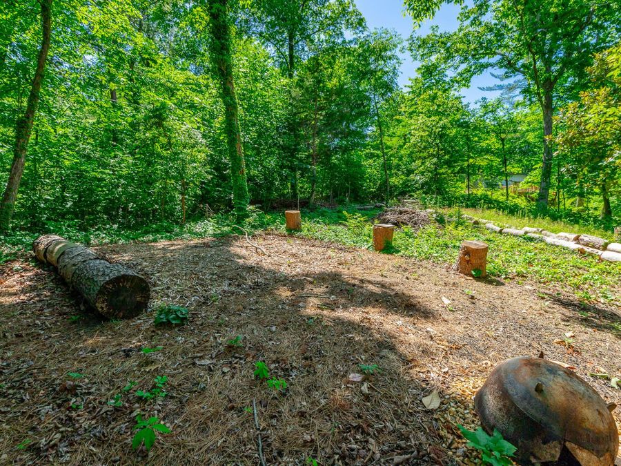 Property Image 61