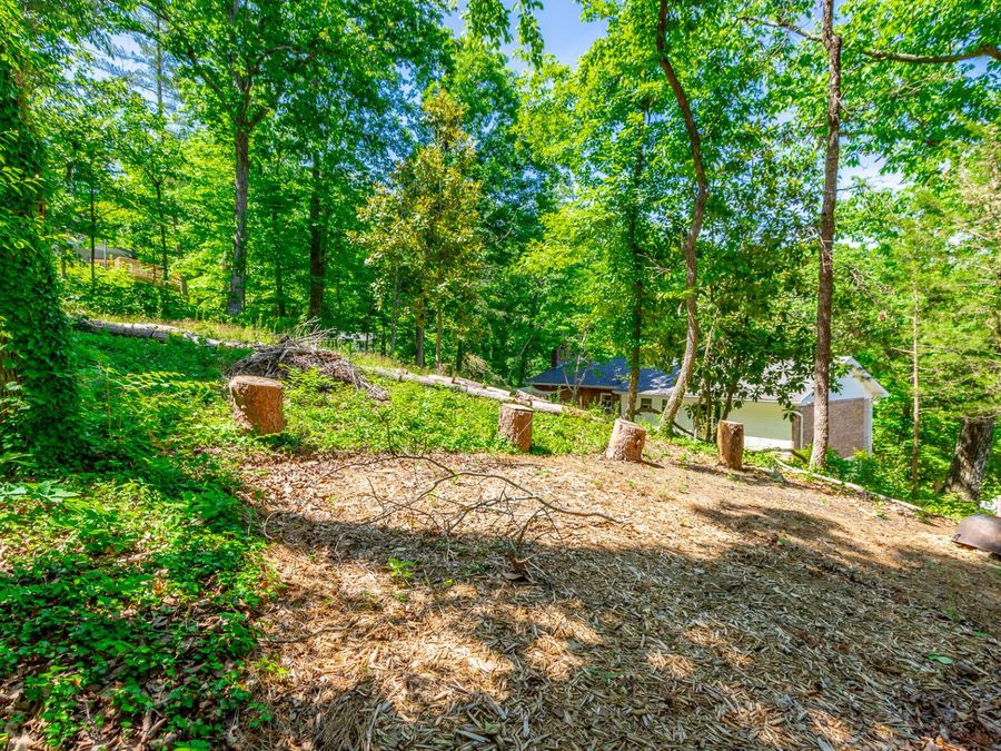 Property Image 62