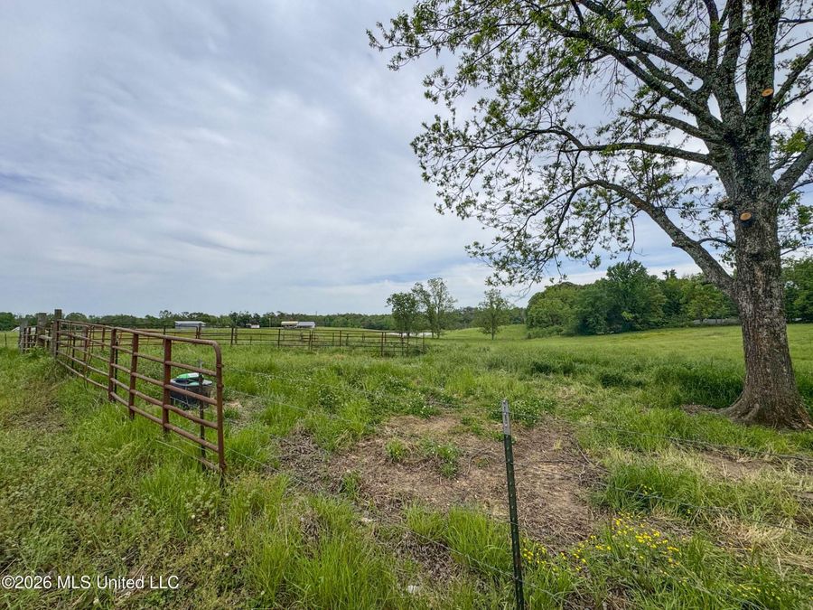 Property Image 194