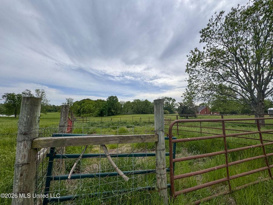 Property Image 196