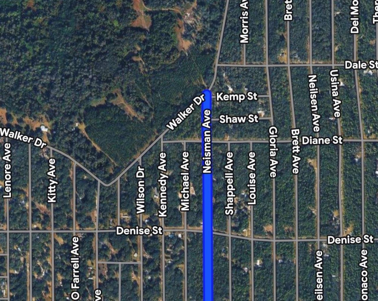 Neisman, Interlachen, FL 32148 Photo