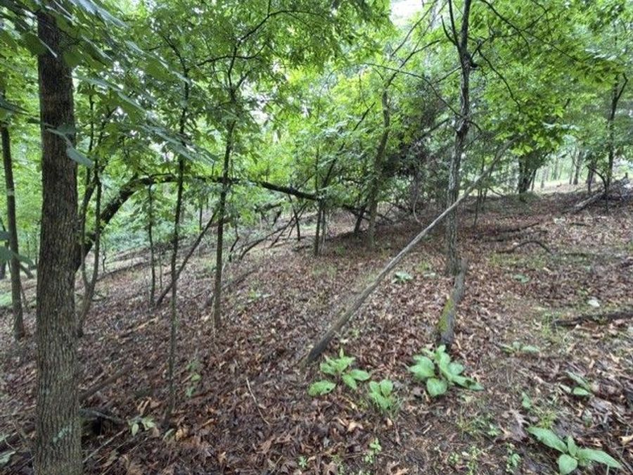 Property Image 29