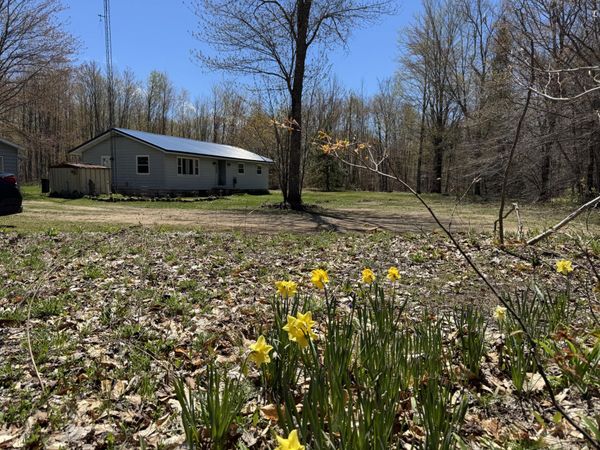 3210 State Highway M117, Newberry, MI 49868