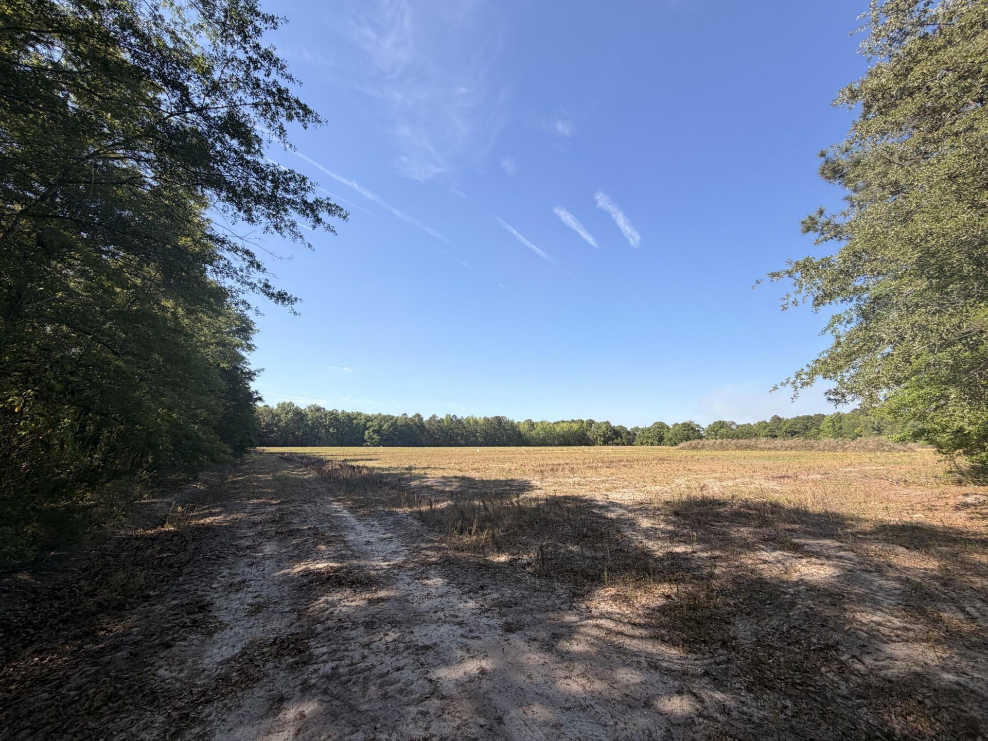 000 Cottage Lane Photo 12