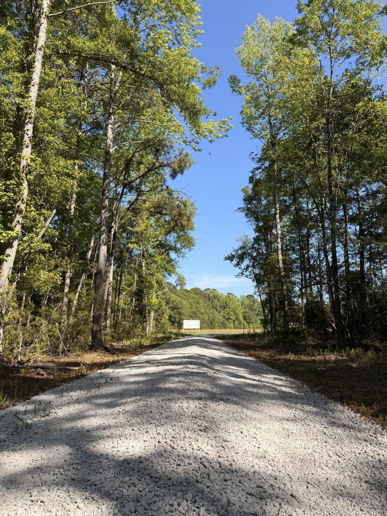 000 Cottage Lane Photo 13