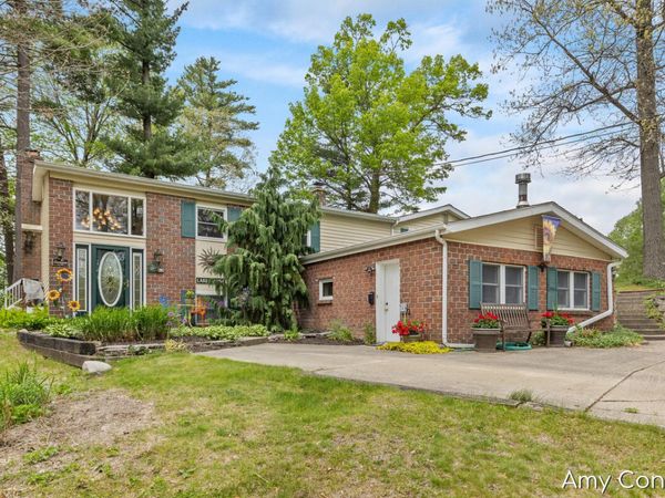 875 Bruce Drive, Middleville, MI 49333