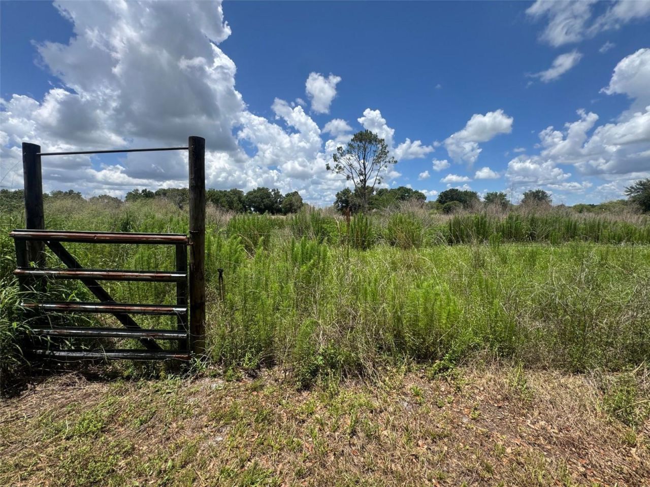 9827 SE Hoth Road, Arcadia, FL 34266 Photo