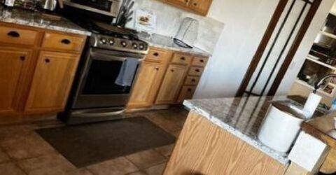 461 Pintail Drive, Fallon, NV 89406 Photo