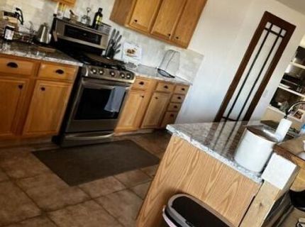 461 Pintail Drive, Fallon, NV 89406 Photo