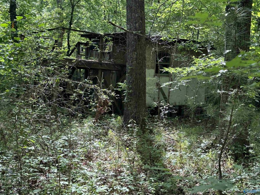 Property Image 18