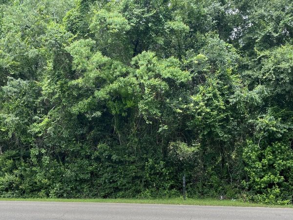 6.69 acres Leeville Rd., Petal, MS 39465