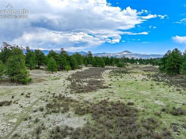Tract 103 Doe Valley Road, Guffey, CO 80820