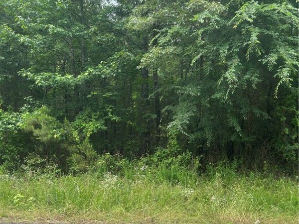 000 Wildcat Hollow , Dardanelle, AR 72834