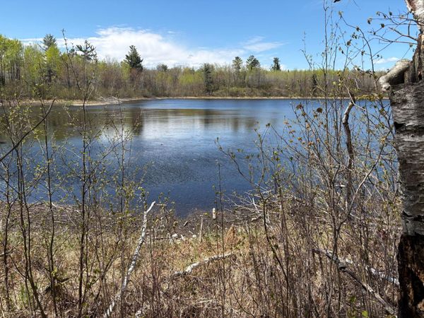 854x W Chub Lake Rd , Carlton, MN 55718