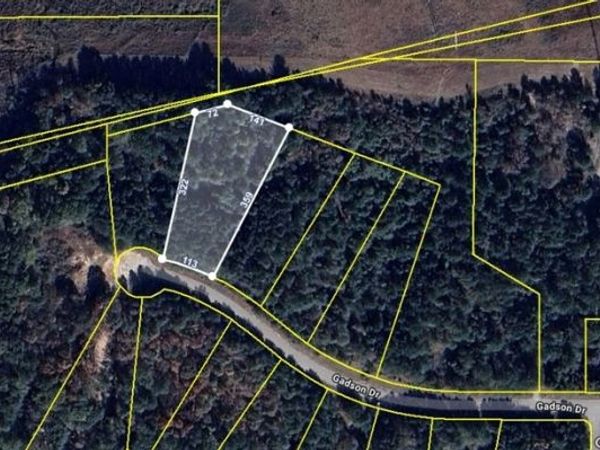 245 Gadson Drive, Fayetteville, GA 30214