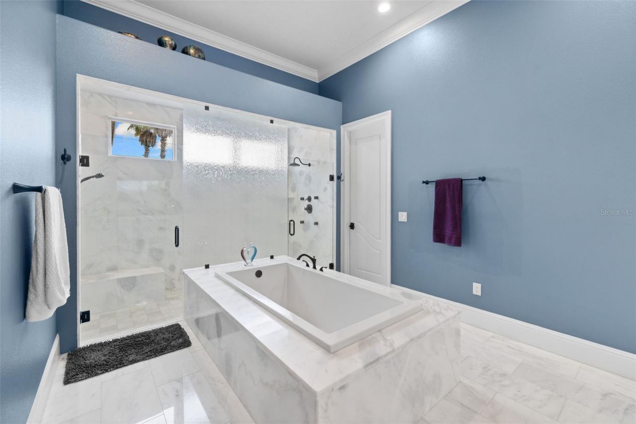 17301 Ballmont Park Drive, Odessa, FL 33556 Photo