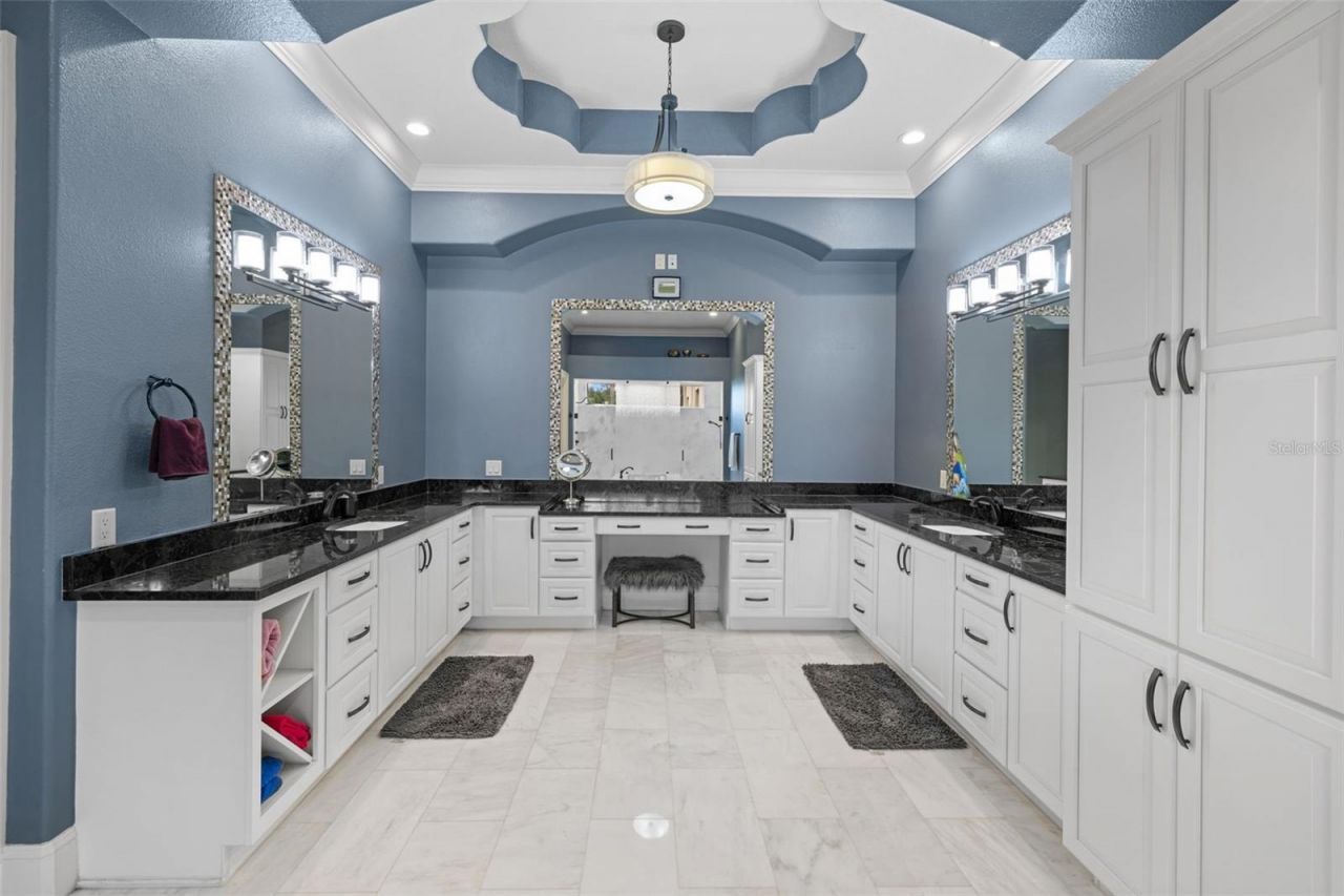 17301 Ballmont Park Drive, Odessa, FL 33556 Photo
