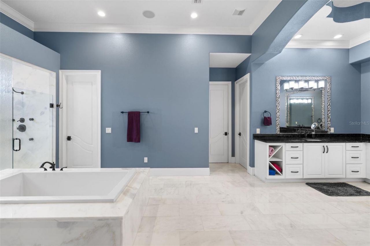 17301 Ballmont Park Drive, Odessa, FL 33556 Photo