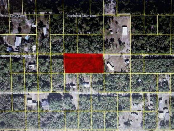15370 NE 234TH PLACE , FORT MC COY, FL 32134
