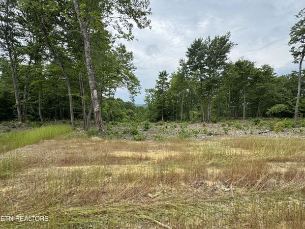 Sheep Ranch Rd, Robbins, TN 37852