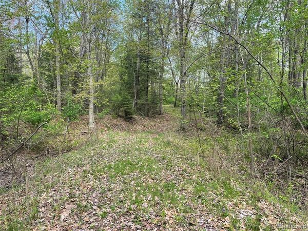 NA Oakridge Drive, Sims Twp, MI 48703