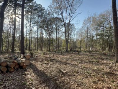 0 Sol Farm Road, Johns Island, SC 29455
