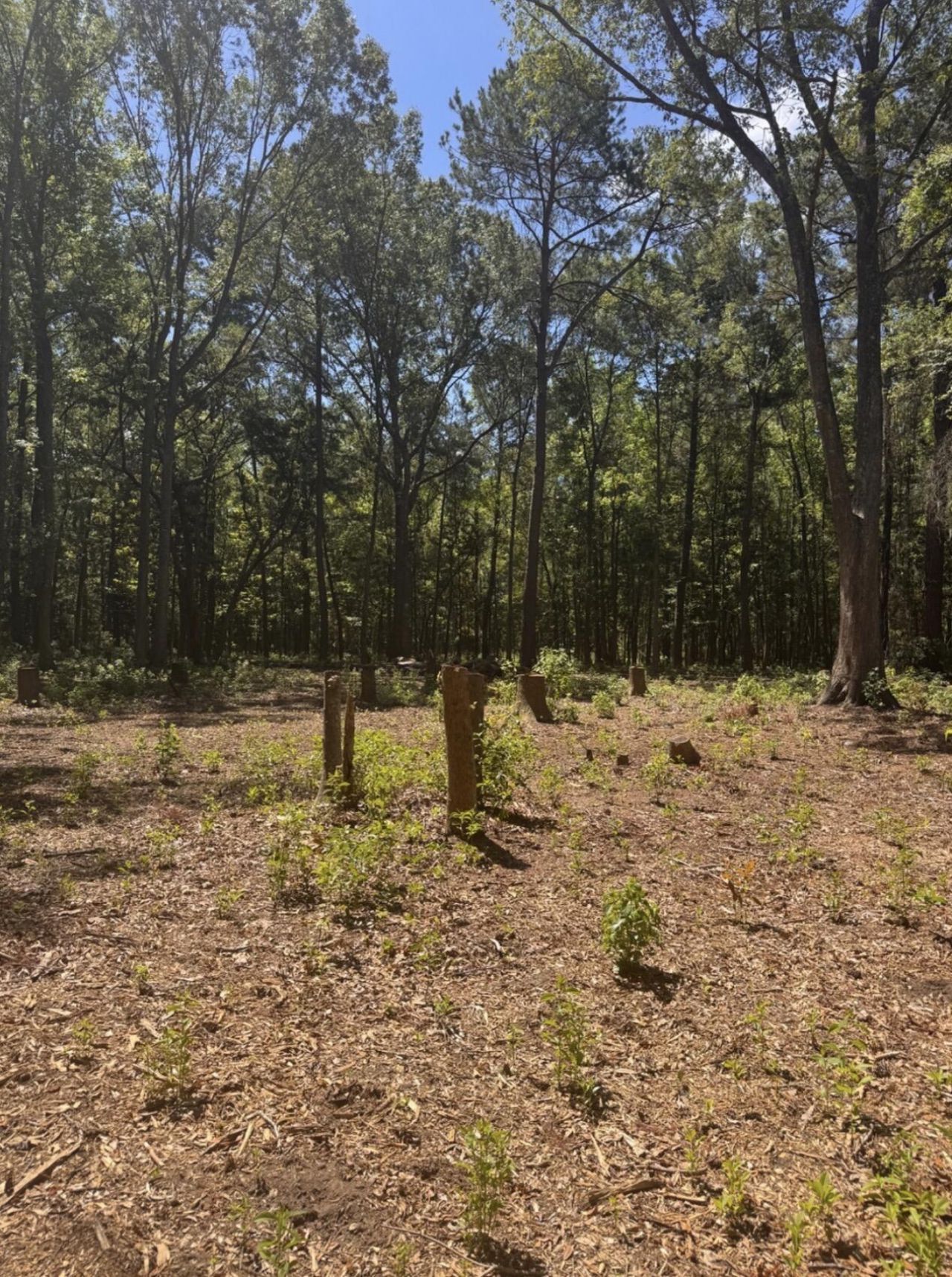 0 Sol Farm Road Photo 5
