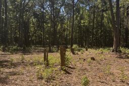 0 Sol Farm Road photo 4