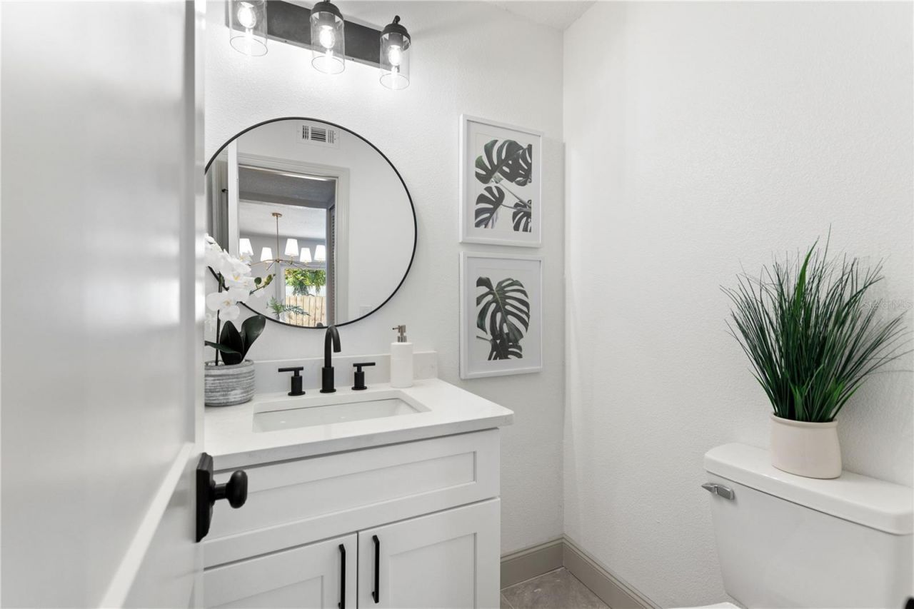 3906 Blooming Hill Lane, Palm Harbor, FL 34684 Photo