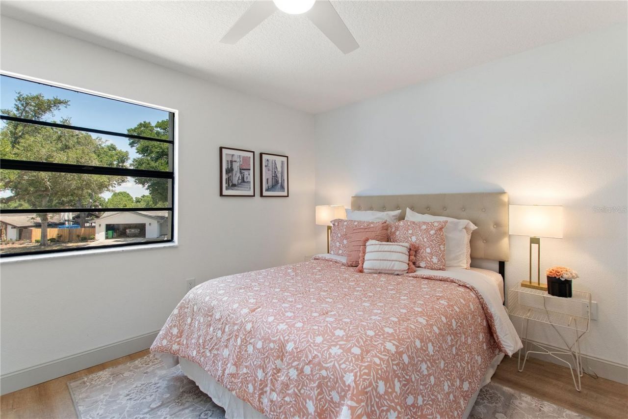 3906 Blooming Hill Lane, Palm Harbor, FL 34684 Photo