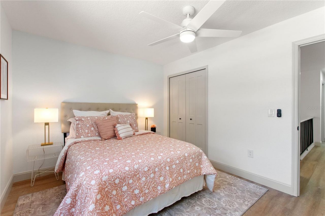3906 Blooming Hill Lane, Palm Harbor, FL 34684 Photo