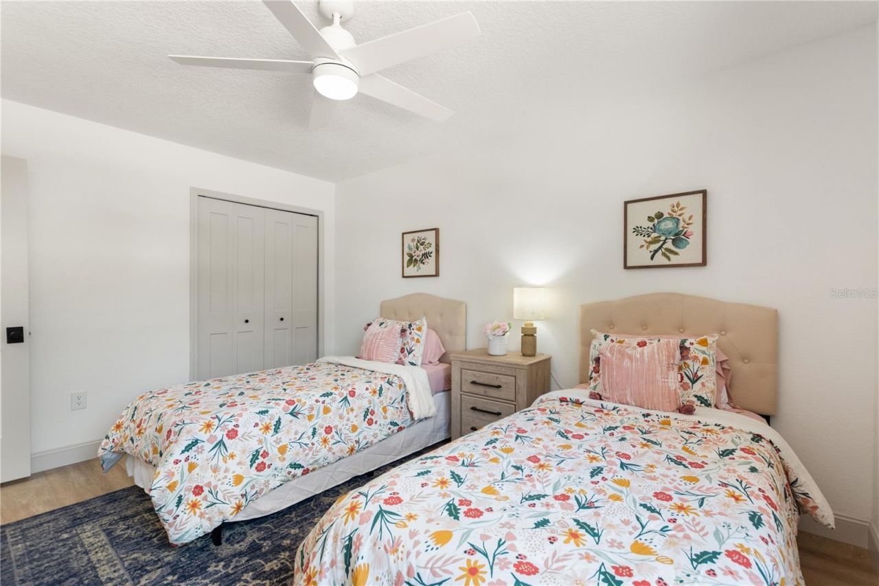 3906 Blooming Hill Lane, Palm Harbor, FL 34684 Photo