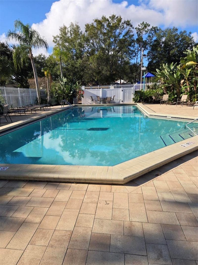 3906 Blooming Hill Lane, Palm Harbor, FL 34684 Photo