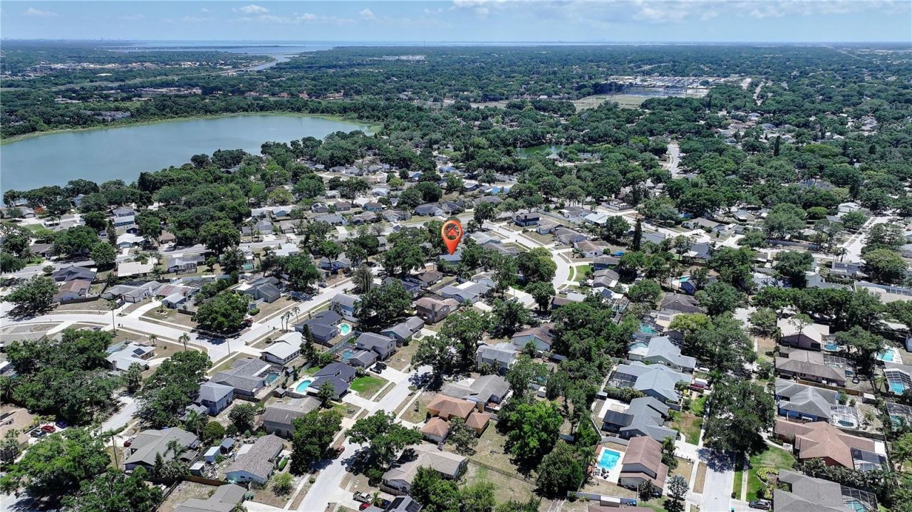3906 Blooming Hill Lane, Palm Harbor, FL 34684 Photo