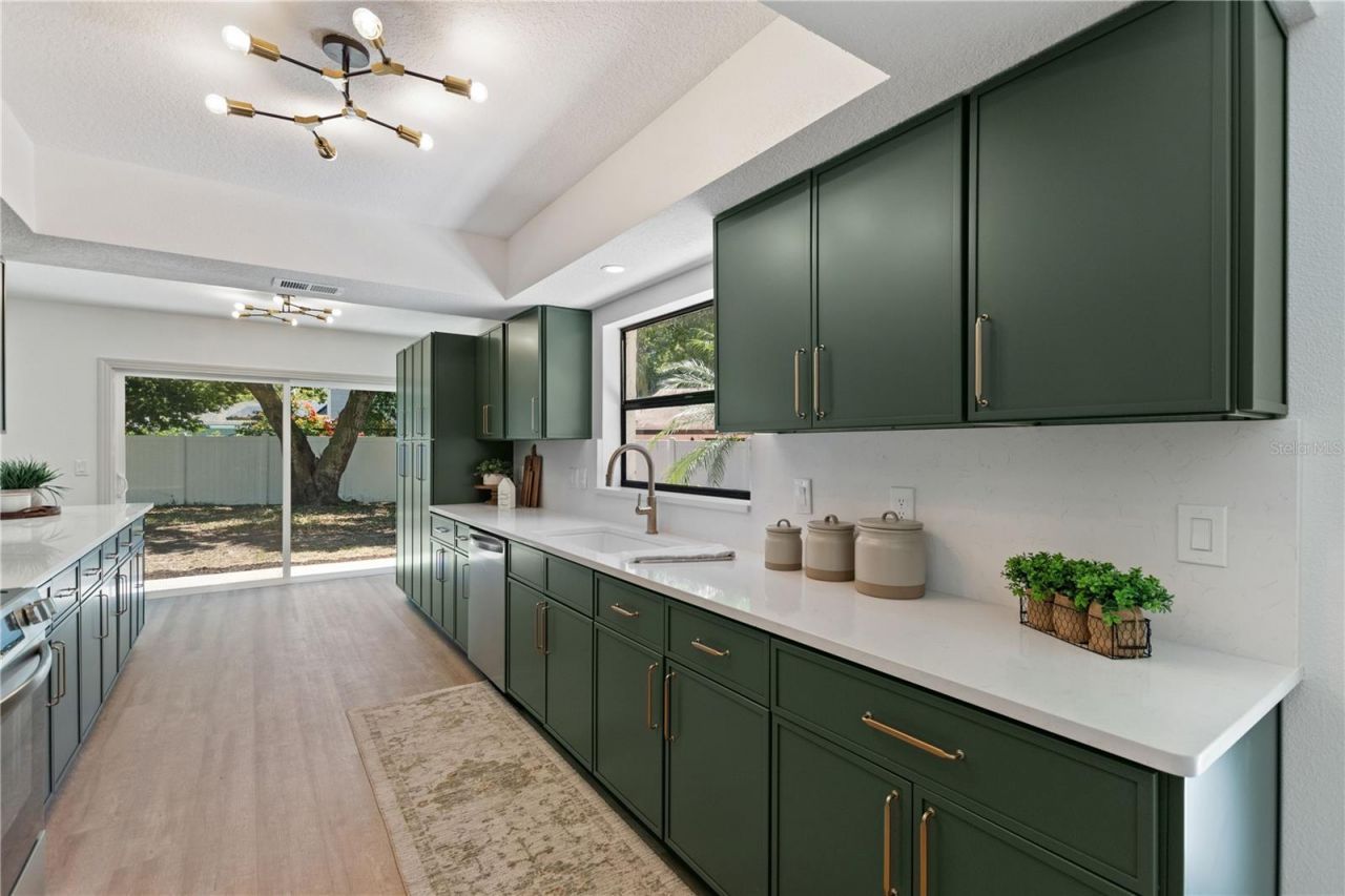 3906 Blooming Hill Lane, Palm Harbor, FL 34684 Photo