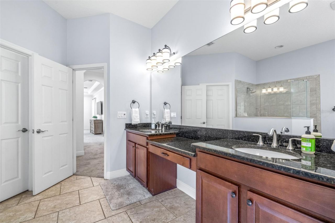 3227 Watermark Drive, Wesley Chapel, FL 33544 Photo