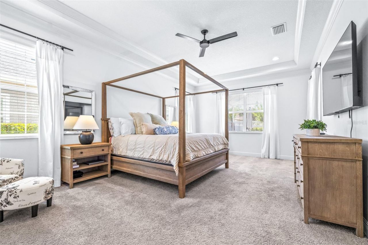 3227 Watermark Drive, Wesley Chapel, FL 33544 Photo