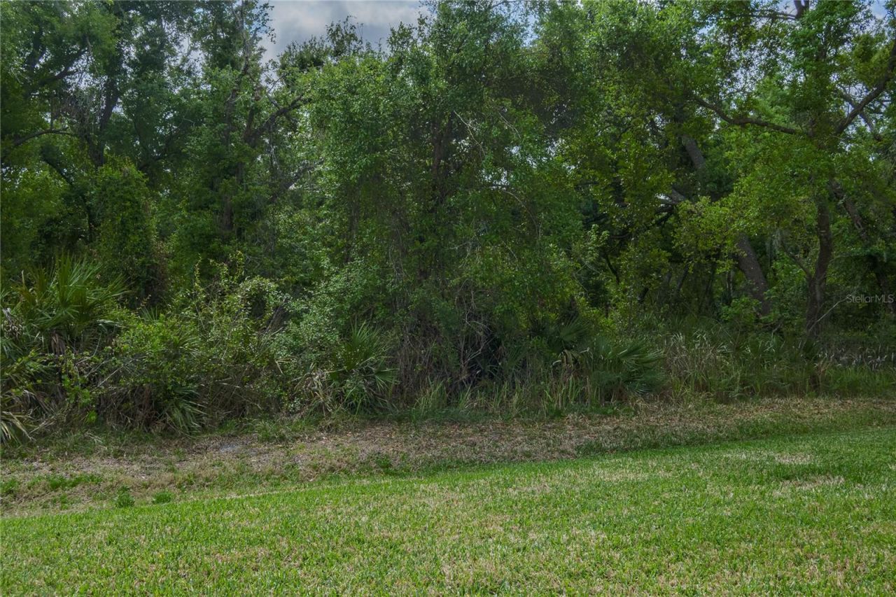 3208 Woodland Fern Drive, Parrish, FL 34219 Photo