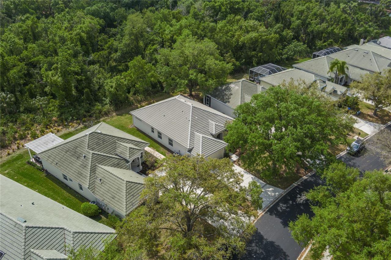 3208 Woodland Fern Drive, Parrish, FL 34219 Photo
